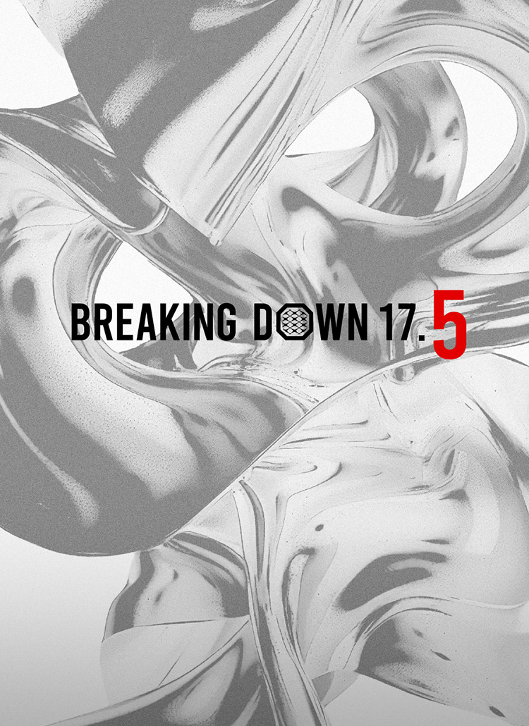 BreakingDown 17.5