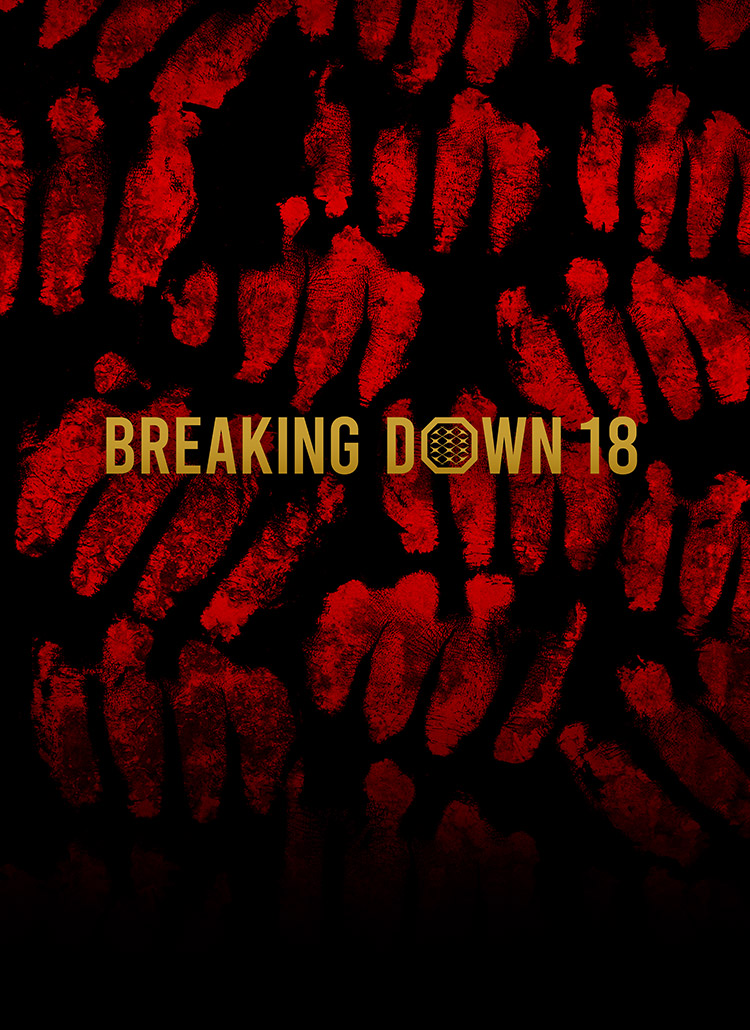 BreakingDown 18