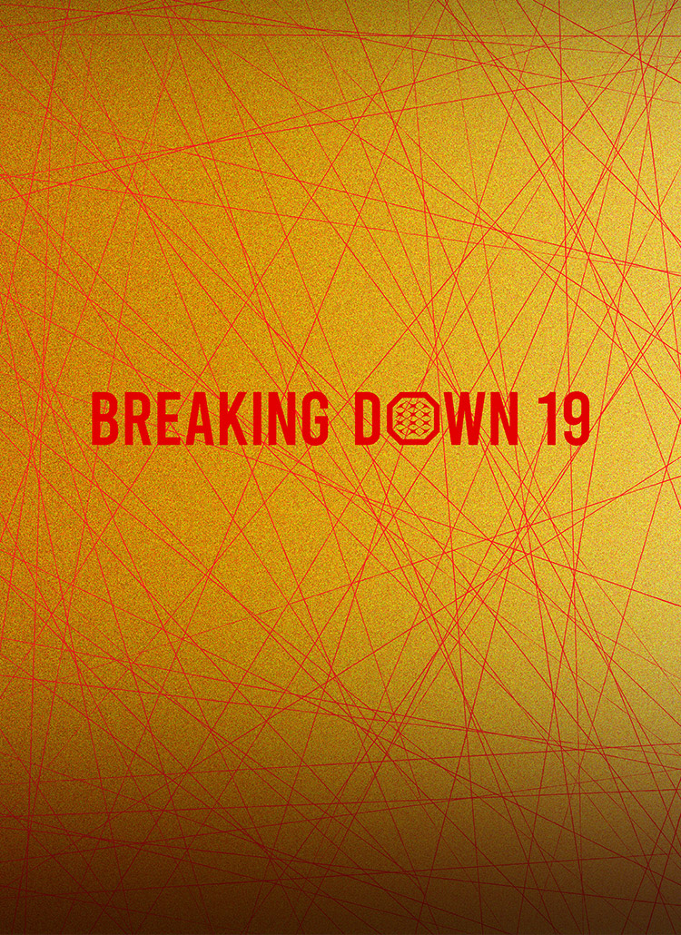 BreakingDown 19