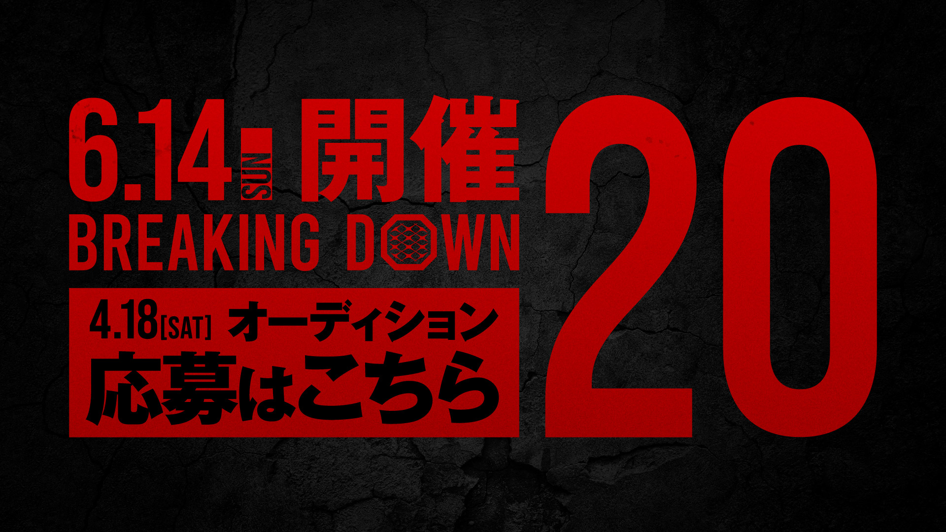 BreakingDown20 オーディション開催決定